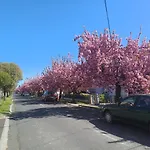 Appartamento 6rooms Hévíz-balaton Hévíz