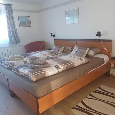6rooms Heviz-balaton Apartment Heviz