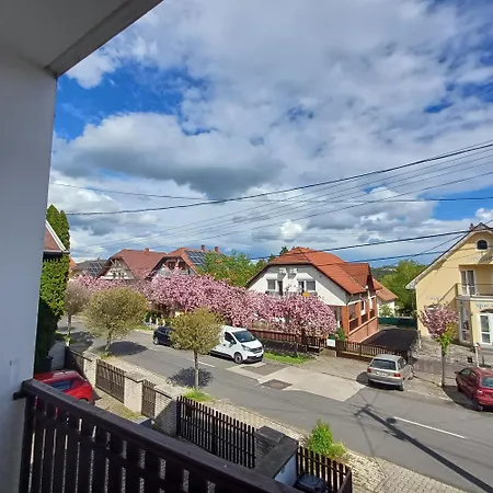 Apartamento 6rooms Hévíz-balaton