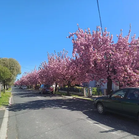 Apartamento 6rooms Hévíz-balaton Hévíz