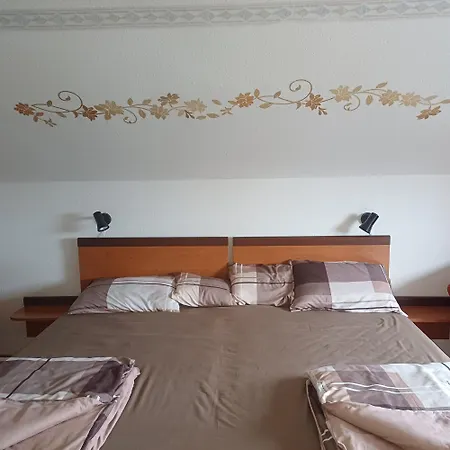 6rooms Heviz-balaton Apartment *