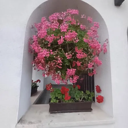 Apartamento 6rooms Hévíz-balaton Hévíz